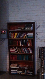 Moon Dog bookcase door
